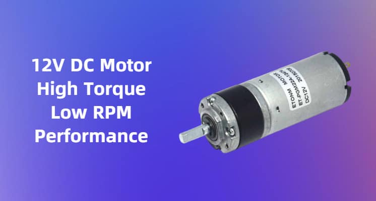 12V DC Motor High Torque Low RPM Performance