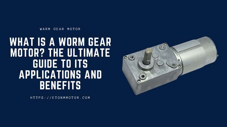 What is a Worm Gear Motor