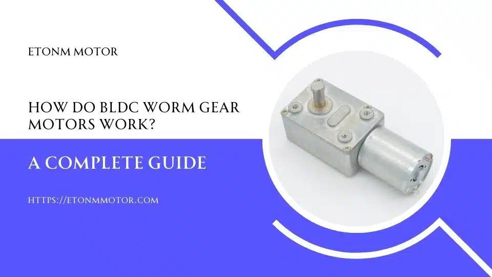 How Do BLDC Worm Gear Motors Work? A Complete Guide - Etonm motor