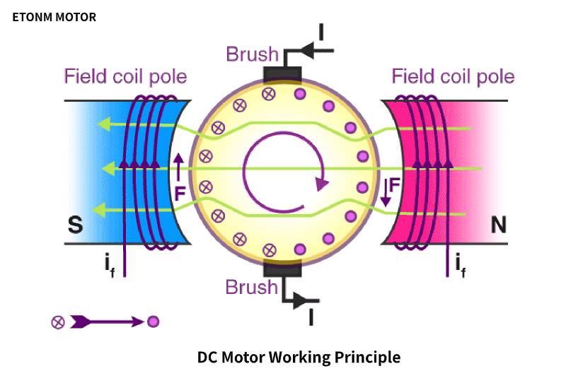 DC Motor Working Principle