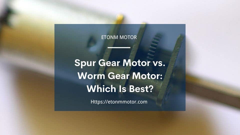 Spur Gear Motor vs. Worm Gear Motor Which Is Best