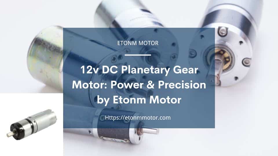 12v DC Planetary Gear Motor