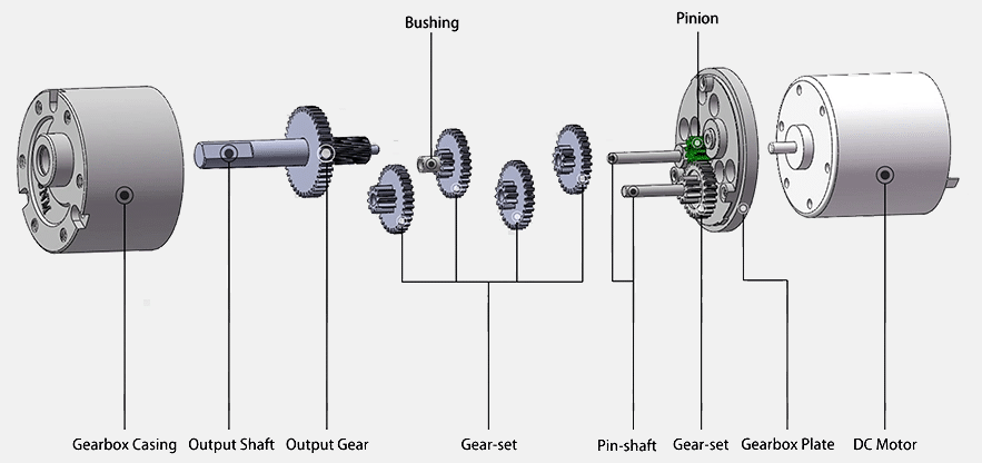 Round Spur Gear Motor